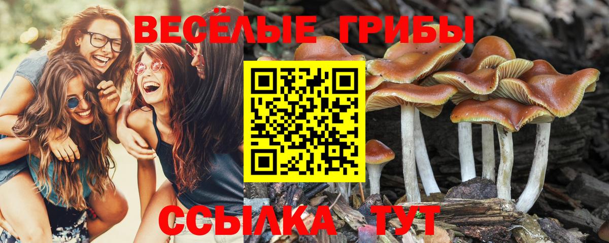 Псилоцибиновые грибы ЛСД Ханты-Мансийск